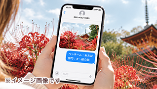 SMSでの応募イメージ