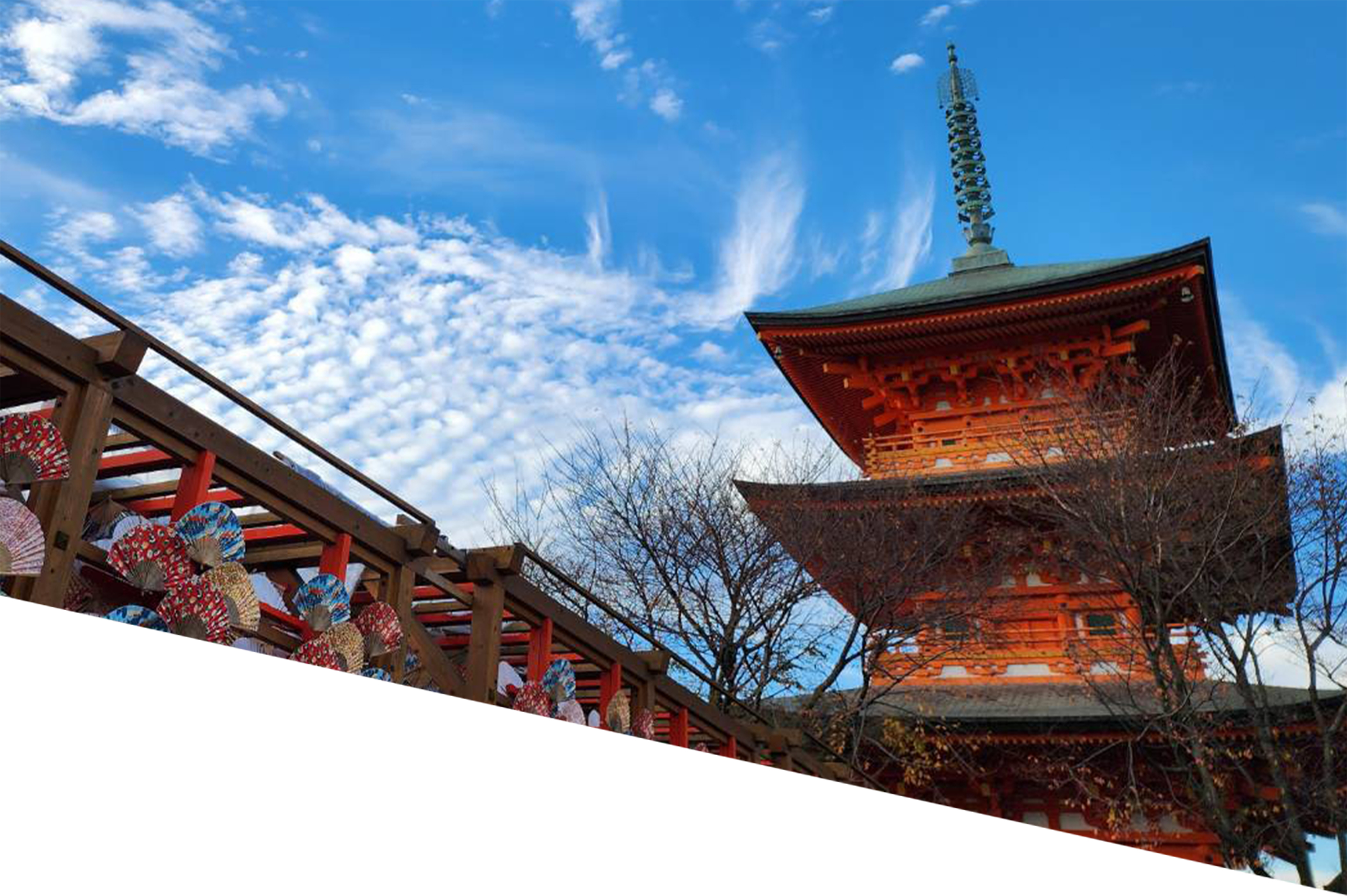 背景写真