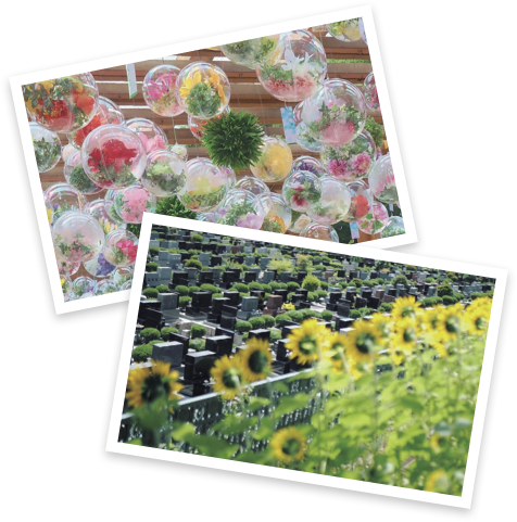 イメージ写真２点