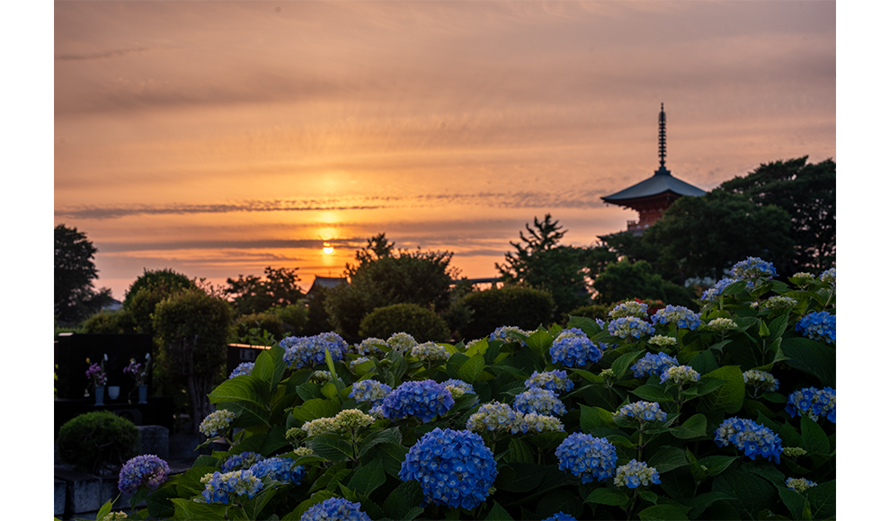 風景部門 大賞作品
